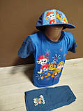 Літній дитячий костюм для хлопчика Щенячий патруль 2-8 років футболка з шортами блакитний та синій, фото 4
