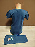Літній дитячий костюм для хлопчика Щенячий патруль 2-8 років футболка з шортами блакитний та синій, фото 5