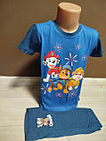 Літній дитячий костюм для хлопчика Щенячий патруль 2-8 років футболка з шортами блакитний та синій, фото 6