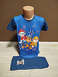 Літній дитячий костюм для хлопчика Щенячий патруль 2-8 років футболка з шортами блакитний та синій, фото 7