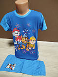 Літній дитячий костюм для хлопчика Щенячий патруль 2-8 років футболка з шортами блакитний та синій, фото 9
