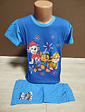 Літній дитячий костюм для хлопчика Щенячий патруль 2-8 років футболка з шортами блакитний та синій, фото 10