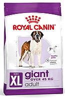 Royal Canin Giant Adult корм для собак гігантських порід 15 кг