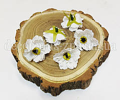 Голівка - мак дикий 4см. Білий. Уцінка.