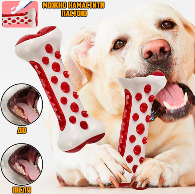 Гумова кісточка для собак TOOTH BRUSH DOG Лучшая цена