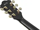 Напівакустична гітара IBANEZ AS73G BKF, фото 10