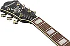 Напівакустична гітара IBANEZ AS73G BKF, фото 9