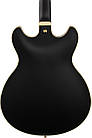 Напівакустична гітара IBANEZ AS73G BKF, фото 7