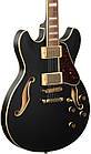 Напівакустична гітара IBANEZ AS73G BKF, фото 3