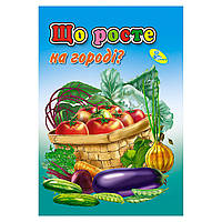 Розвиваюча книжка-картонка "Що росте на городі?"