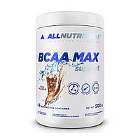 BCAA Max Support - 500g Strawberry