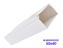 Короб пластиковий 60x40x2000 мм подвійний замок