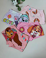 Трусики Щенячий Патруль для девочек , Набор трусиков шортами для девочки , Трусики Скай