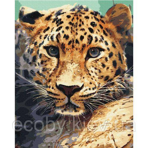 Картина за номерами "Портрет леопарда" ★★★, фото 1