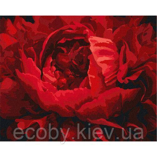 Картина за номерами "Вишукана квітка" ★★★, фото 1