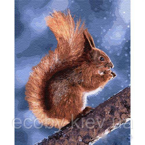 Картина за номерами "Маленька білочка" ★★★★★, фото 1