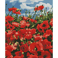 Алмазна мозаїка "Дивні маки"