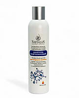 Шампунь нафталановий для жирного волосся 250 мл Нафталан