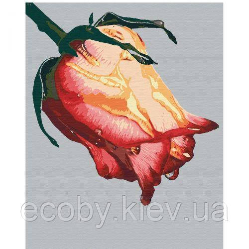 Картина за номерами "Медова роса", фото 1