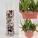 Набір з десяти натуральних каменів RESTEQ — напівдорогоцінні кристали з енергетичним впливом для дому, медитації та подарунка, фото 4