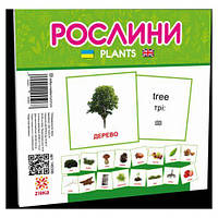 Мінікарти "Світ рослин" (укр)