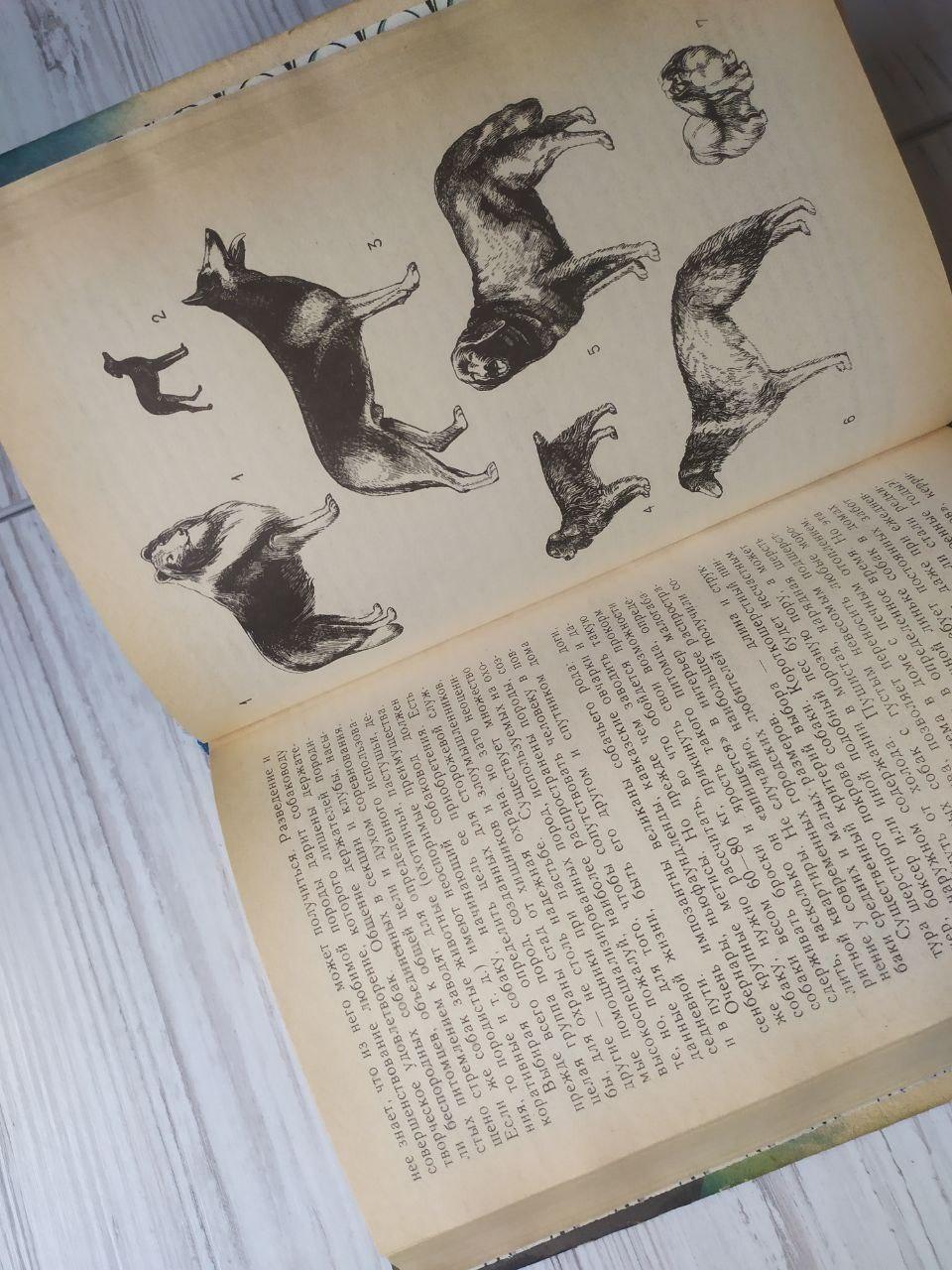 Product image preview