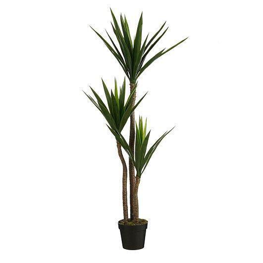 Юкка штучна в горщику в зеленому кольорі Edelman, фото 1