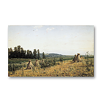 Печать на холсте картины Печать на холсте сжатое поле. Полесский пейзаж Иван Иванович Шишкин 20x30