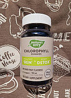Nature's Way хлорофіл Chlorophyll хлорофилл в желейках з мідь детокс 40 шт