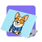 Чохли для Епл МакБук (Apple MacBook)