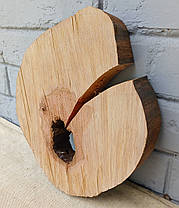 Зріз дерева для випалювання та творчості, d 270х230мм., фото 2