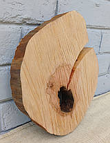 Зріз дерева для випалювання та творчості, d 270х230мм., фото 3