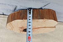 Зріз дерева для випалювання та творчості, d 270х230мм., фото 4