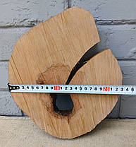 Зріз дерева для випалювання та творчості, d 270х230мм., фото 5
