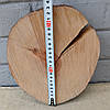 Круглий зріз дерева-заготівля для творчості, 230х200мм., фото 7