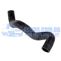 Патрубок радіатора FORD FOCUS/C-MAX 2003-2011 (1.6 DOHC) HMPX