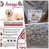Собачий сухий корм Amigo Best для середніх і великих порід (5 кг), фото 3