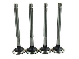 Клапана на ВАЗ 2101, 2102, 2103, 2104, 2105, 2106, 2107, 2121, 21213, 21214, 2131 випуск (до-кт 8 шт) АМР