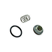 Ремкомплет форсунок ahcr (romano)