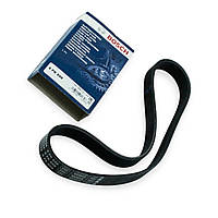 Ремінь генератора поліклин. 2108-2110 8-ми кл. 6PK698 ()