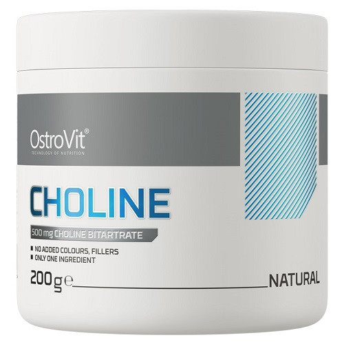 Холін OstroVit Choline (200 грам.), фото 1