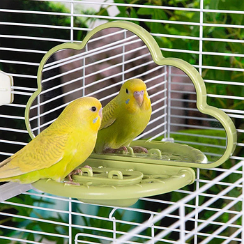 Дзеркало для папуги з вбудованим відсіком для корму 18.5 х 14 х 9 см