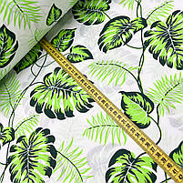 Польська бязь "Листя монстери та пальми салатово-зелена на білому" 160 см, фото 2