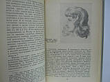 Канаїв І.І. Гете як природність випробувач (б/у)., фото 7