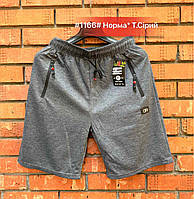 Шорти чоловічі (Розміри: 46-54)