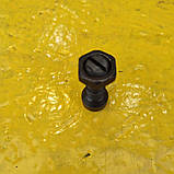 Гвинт коромислу Д21, Т25 з гайкою, фото 2