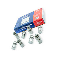 Гідрокомпенсатор Amulet (комплект)