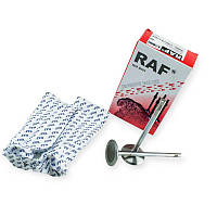 Клапана Амулет  (RAF) впуск