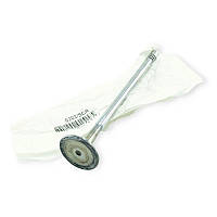 Клапан впускной Фиат 1.9JTD 16v, 2.4jtd 20v