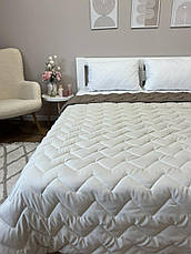 Ковдра літня євро розмір 200х215 антиалергенна двостороння, фото 4